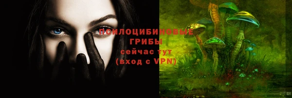 эйфоретик Алексеевка